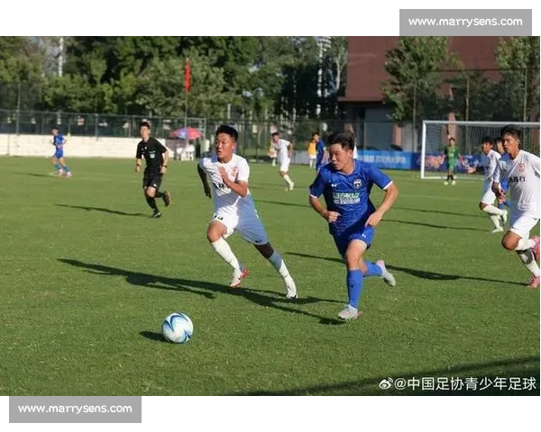 2025 中青赛沈阳赛区 U10-U15 组赛前联席会召开 俱乐部组赛事筹备进入冲刺阶段 2025 中青赛沈阳赛区 U10-U15 组赛前联席会召开 俱乐部组赛事筹备进入冲刺阶段